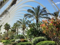 Valencia L'umbracle - Foto Alessandro Abete