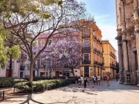 Valencia  barrio El Carmen - Foto Alessandro Abete