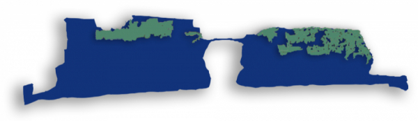 Euplea Napoli