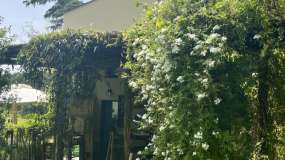 Les jardins et l'extérieur du Tisaneria Bistrot 