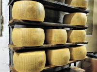 Parma - Parmigiano Reggiano Cheese - Photo by Albert Dezetter from Pixabay