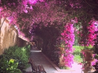 Valencia Giardini Del Monforte - Foto Alessandro Abete