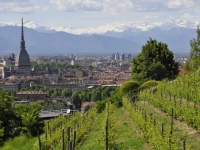 Panorama von Turin Mole Antonelliana - Fotos von nonmisvegliate von Pixabay