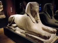 Turin Egyptian Museum - Photo of pierol85 by Pixabay