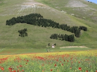 Castelluccio di Norcia - Image de fausto manasse de Pixabay